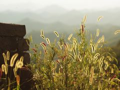 -蟠龙山长城景区