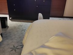 -上海嘉定喜来登酒店