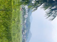 -红山村