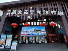 -青藏高原野生动物园