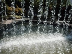 -苏州河梦清园环保主题公园