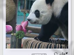 -柳州市动物园