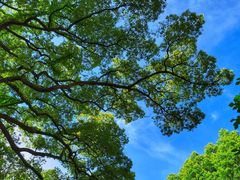 -普陀山慧济禅寺