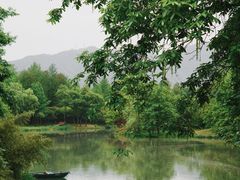 -西溪国家湿地公园