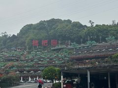 -枇杷园食为鲜火锅(南山店)
