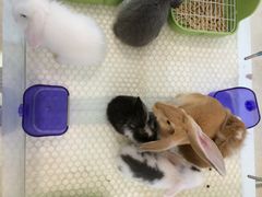 -武商摩尔影城(国广IMAX激光店)
