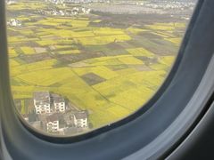 -黄山屯溪国际机场