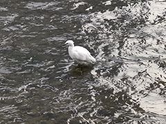 -四川大学(望江校区)