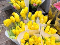 -循礼门鲜花花市(武汉循礼门店)