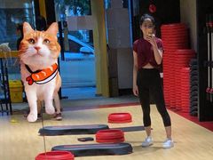 -SUPERMONKEY超级猩猩健身(珠江新城店)
