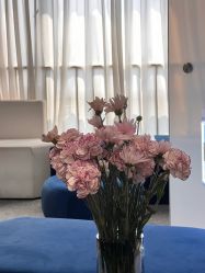 -JY·VALMONT法儿曼官方面护·海菲秀黑钻体验中心