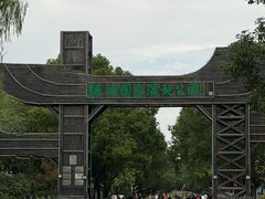 -溱湖国家湿地公园