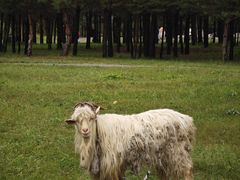 -北极村旅游风景区