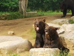 -北京野生动物园