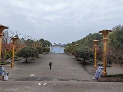 -三峡梯城