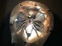 -樊笼真人密室逃脱(江南西店)