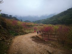 -福清灵石山国家森林公园