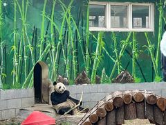 -南昌动物园