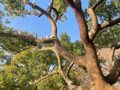 -北山街历史文化街区