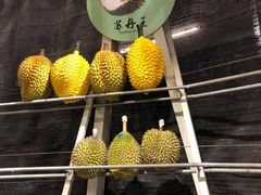 -都念榴莲·城市榴莲