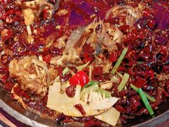 -老板恋上鱼(恒隆广场店)