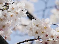 -永乐路-路侧停车场