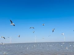 -海河外滩公园