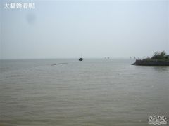 -大湾区中央湿地公园-十九涌