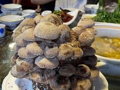-先机泉水鸡汤(南山老君洞店)