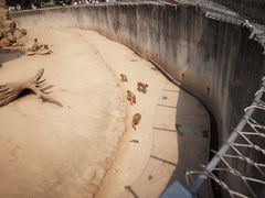 -西安秦岭野生动物园