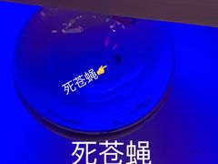 -小龙坎老火锅(金柏林店)