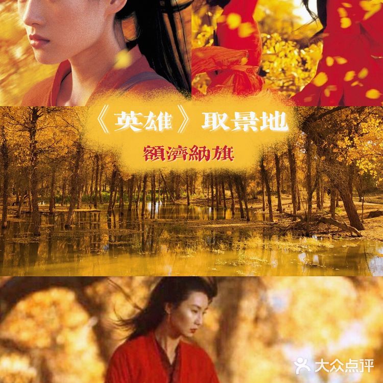 《英雄》取景地额济纳旗🍂绝美胡杨林