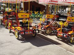 -长白岛森林公园