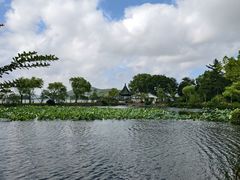 -无锡蠡湖国家湿地公园-蠡园