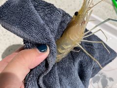 -嘻虾·钓虾工场(东莞总店)