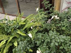 -回龙窝历史文化街区