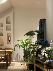 -WAVE SODA摄影工作室