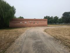 -北京群众马术培训基地