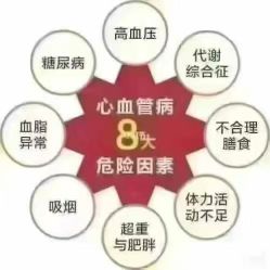 -香薇妮丝·定制减肥·身材管理