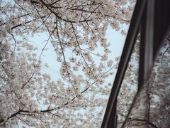 -南浦大桥长途旅游客运站