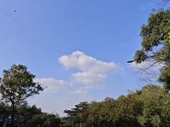-广州市白云山风景名胜区