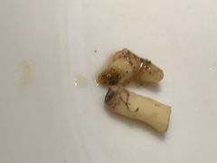 -香佰里鲜货火锅(佳乐金街店)