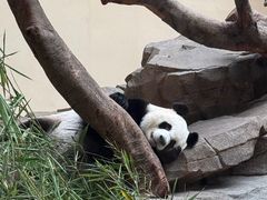 -宁波野生动物园