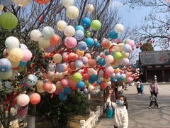 -祥源·阜阳生态乐园