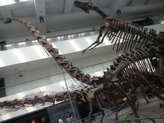 -中国地质大学逸夫博物馆