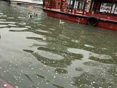 -皇家御河游(紫御湾码头)