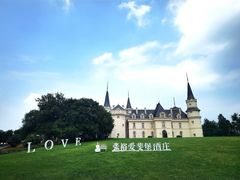 -北京张裕爱斐堡酒庄