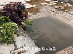 -渔梁坝
