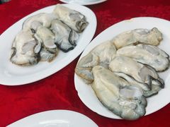 -花苑美食横琴生蚝火锅(拱北粤华路店)
