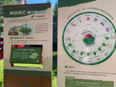 -团结湖公园